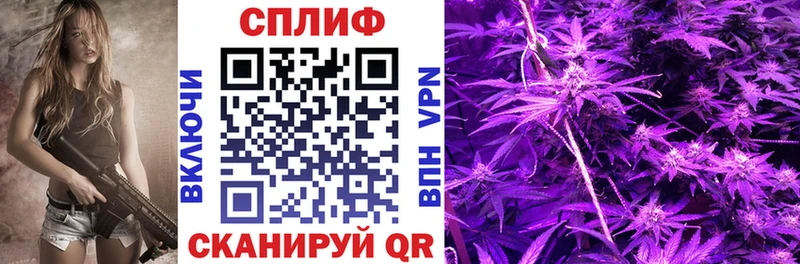 Все наркотики Кимры А ПВП  Псилоцибиновые грибы  Мефедрон  БУТИРАТ  Кокаин  МАРИХУАНА 