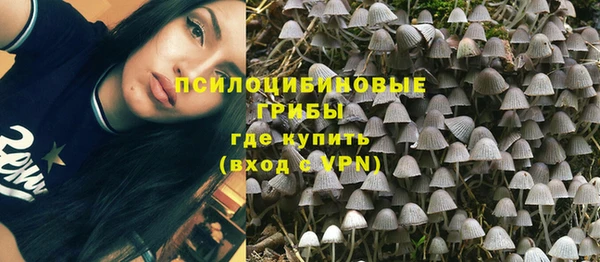 шишки Бронницы
